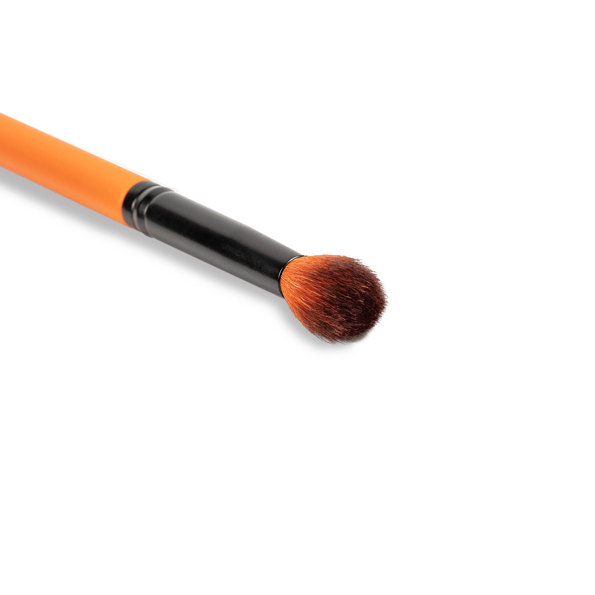 Everyday Eye Trio - Ms.Miau