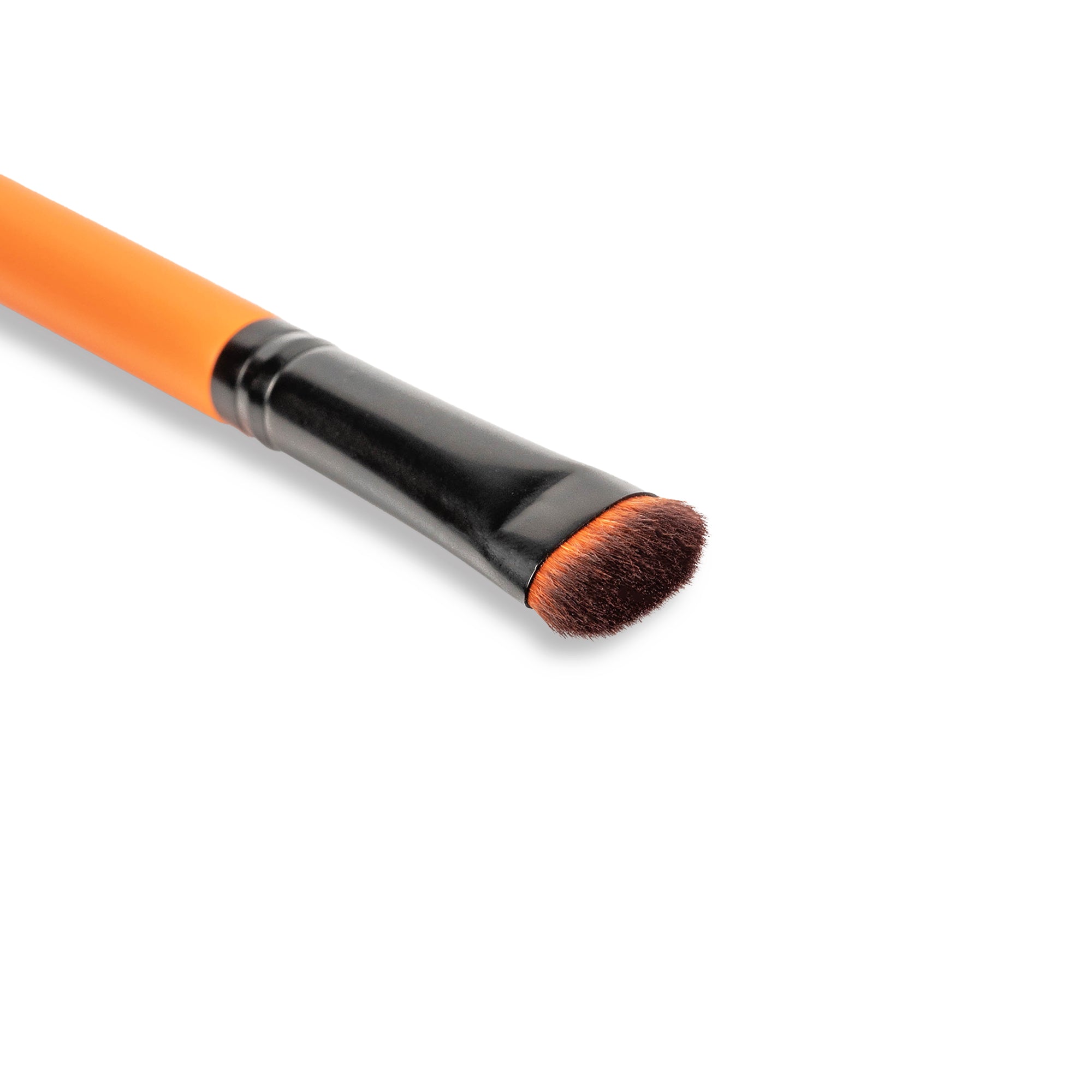 Everyday Eye Trio - Ms.Miau